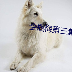 金瓶梅第三集(jí)