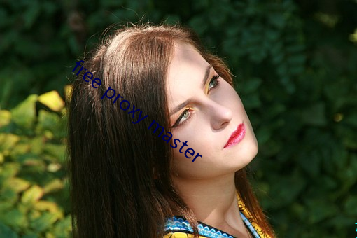 free proxy master