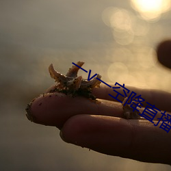 一v一空降直播