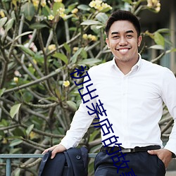 初出茅廬的故事