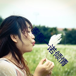 泰剧一(yī)诺(nuò)倾情