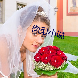 微型小说(說)