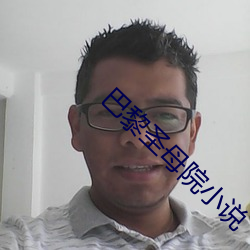 巴(bā)黎圣母院小说