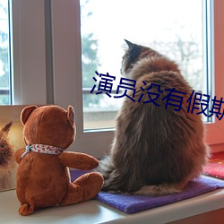演员没有假期
