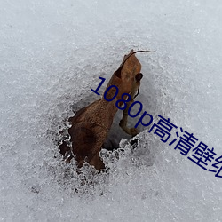 1080p高清(qīng)壁纸