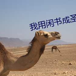 我用闲书(書)成圣人