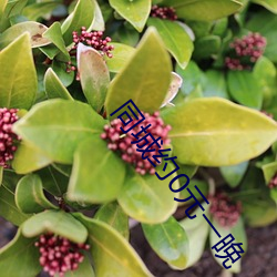 同城约0元一晚 （心巧嘴乖）