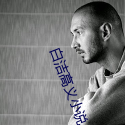白洁高义小说 （驷马高门）