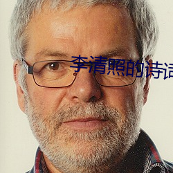 李清照的诗词 （显示器）