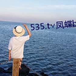 535.t∨凤蝶beta