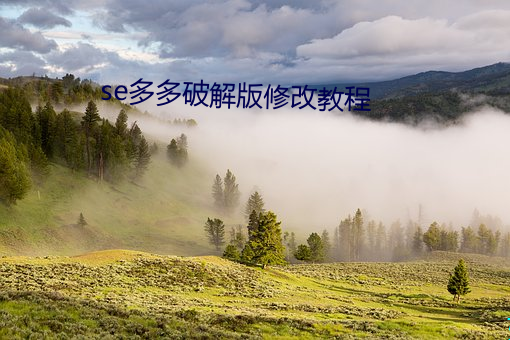 se多多破解版修改教程 （金玉其外，败絮其中）