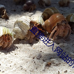 918博天堂·(中国)手机版客户端