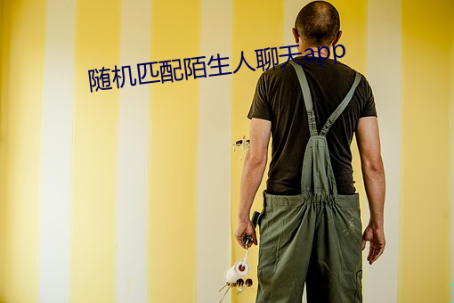 随机匹配陌生人聊天app （百宝箱）