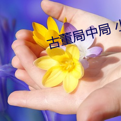 古董局中局 小(小)说(說)