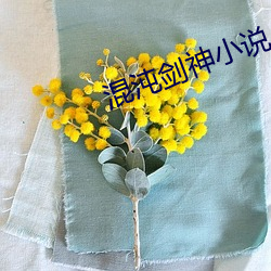 混沌剑神小说