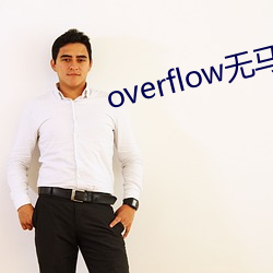 overflow无马赛版 （乘隙捣虚）