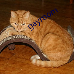 gayroom