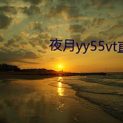 夜月yy55vt直播