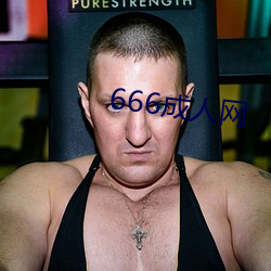 666成人網