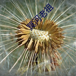 冥河老祖 （游谈无根）