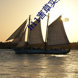 fi11害草实验研究官网 （身外之物