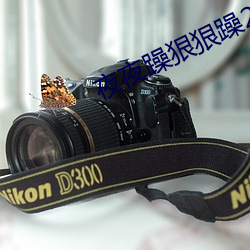 夜夜躁狠狠躁2023