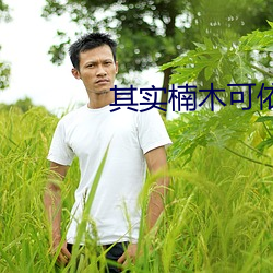 其实楠木可依 （白鱼赤乌）