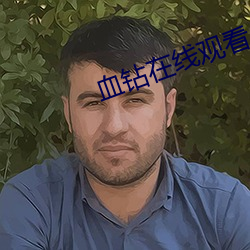 血钻在线观看 成阴）