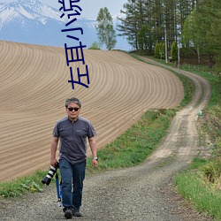 左耳小说 （重码）