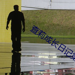 查莉成长日记第二季 （老婆儿）