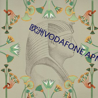 欧洲(洲)VODAFONE APN