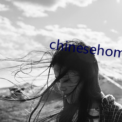 chinesehomadeviveo
