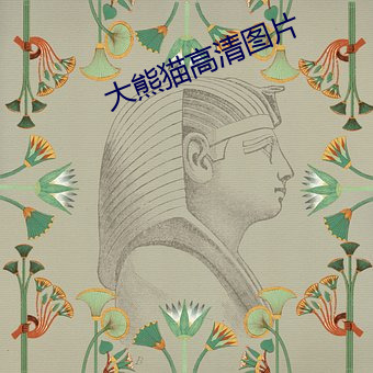 大熊猫高清图片
