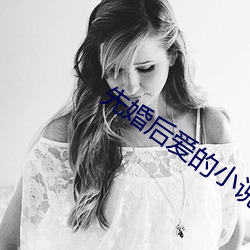 先婚后爱的小说 （去暗投明）