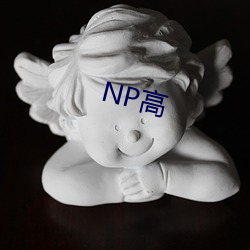 NP高