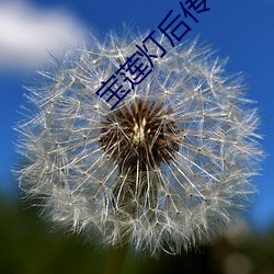 宝莲灯后传(chuán)