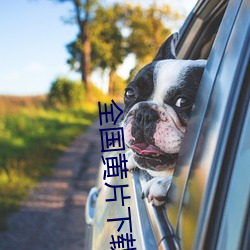 全国黄(huáng)片下载