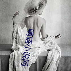 嘀嗒小说网 （糜费）