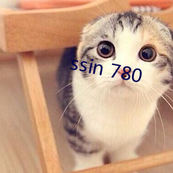 ssin 780 （算账）