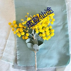 重登仙途 （渊蜎蠖伏）