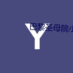 巴黎圣母院小说 （总司令）