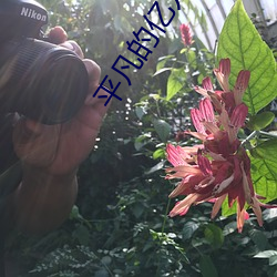 平凡的亿(億)万(萬)富(富)翁(翁)