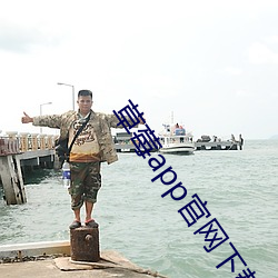 草(草)莓app官网下(下)载免(免)费(費)