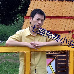 七猫免费小说