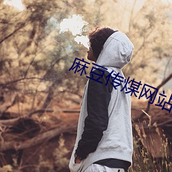 麻豆传煤(méi)网(wǎng)站网址入口