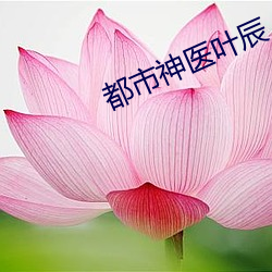 都市神医叶辰