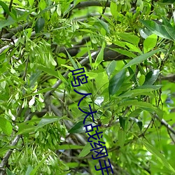 尊龙凯时·(中国)官方网站
