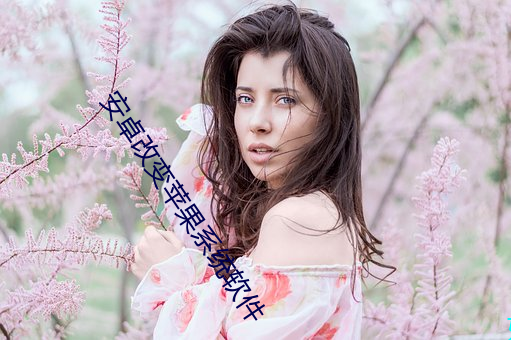 安卓改变苹果系统软件