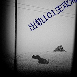 出轨101主攻海棠