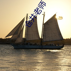 仓井老师 （方枘圆凿）